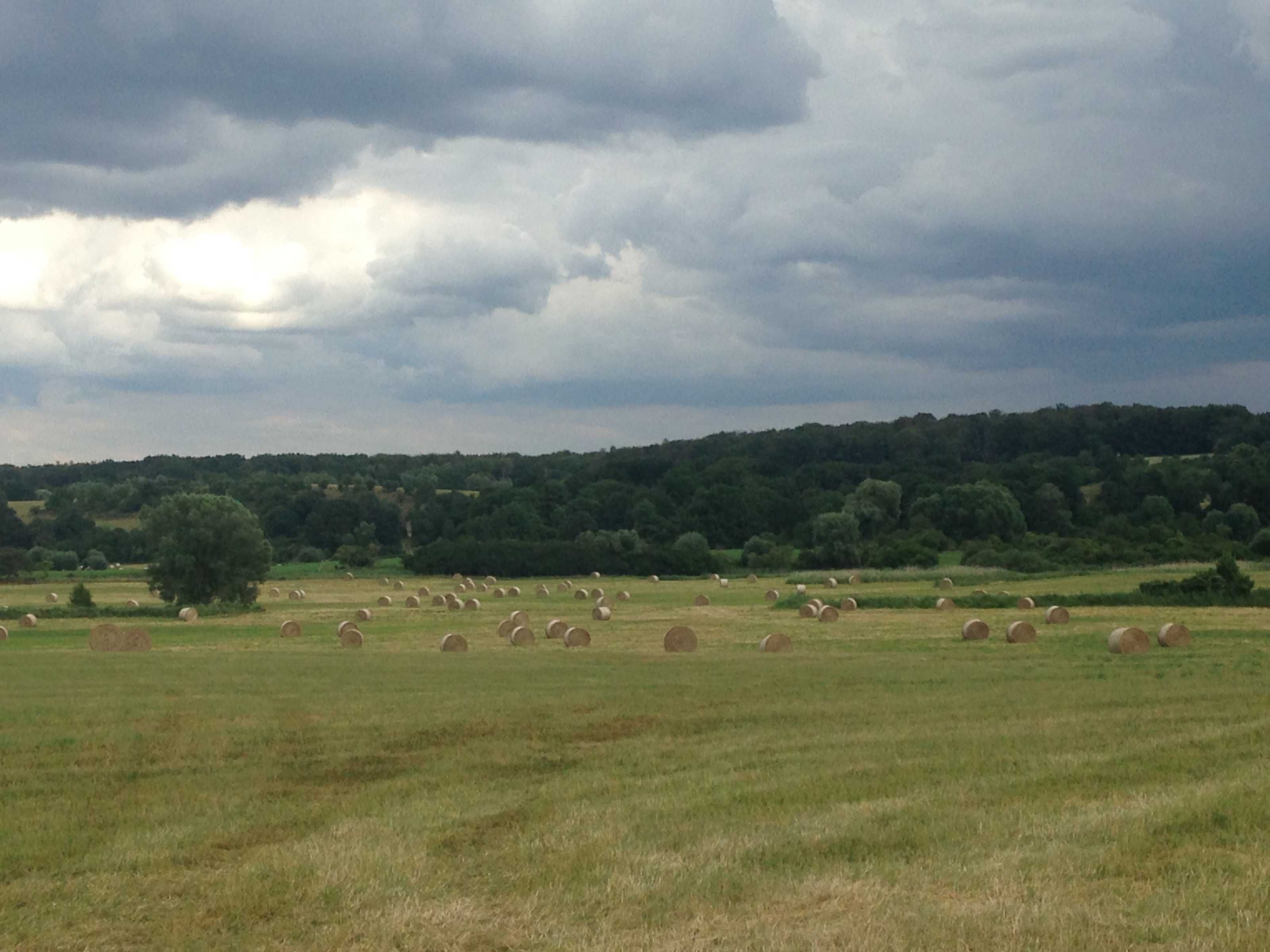 A rural landscape with hay bales and trees under a cloudy sky.