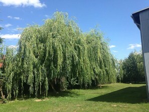 Unclassified image, 2 of 55, button - Ferienwohnung Mohnblume (Gerswalde)