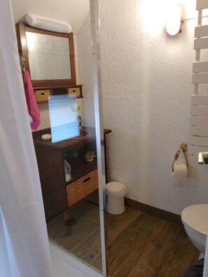 Shower, hair dryer