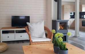 Fernseher, Kamin, DVD-Player