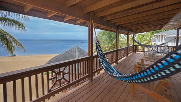 A wooden deck with a hammock, overlooking a beach with palm trees and the ocean. - Beachfront apartment with excellent snorkeling (Roatan)