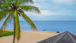 A beach with a palm tree and a boat in the water. - Beachfront apartment with excellent snorkeling (Roatan)