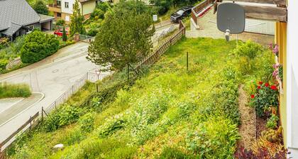 Amazing apartment in Schonach im Schwarzwal