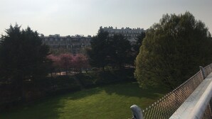 A park with a grassy area, trees, and a building in the background.