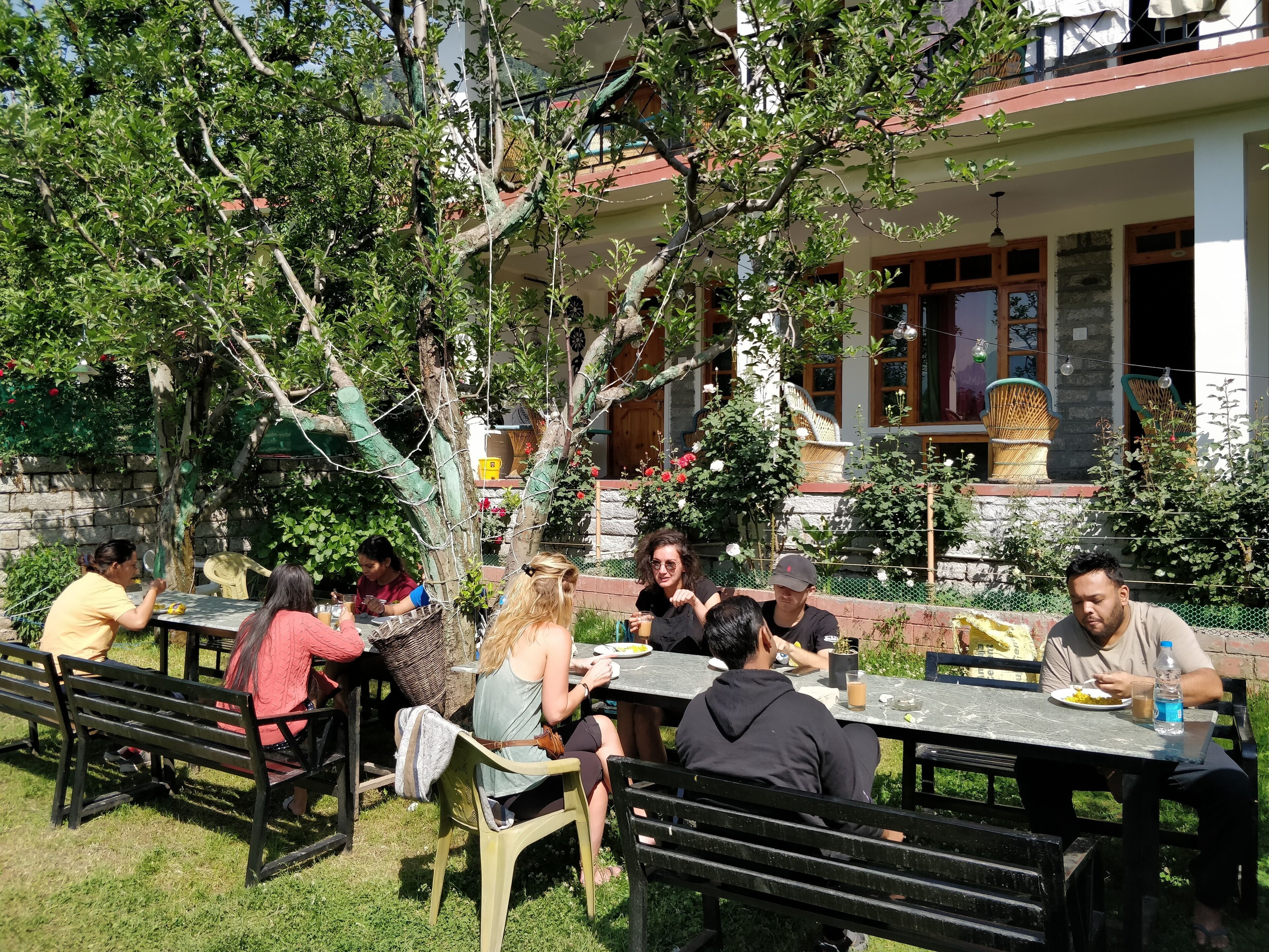 تناول الطعام بالخارج