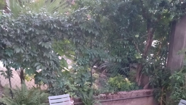 Área de parrillas y picnic