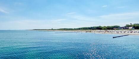 In Strandnähe, Angeln