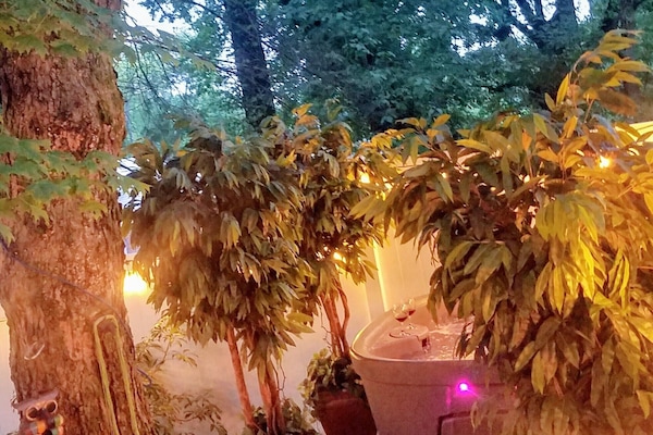 Banyera d'hidromassatge a l'aire lliure