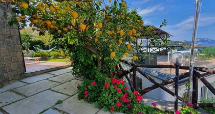 BLU HOME gorgeous chalet nestled in a lemon grove overlooking Capri