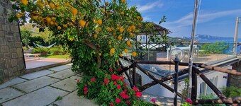 BLU HOME gorgeous chalet nestled in a lemon grove overlooking Capri