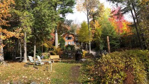 A cabin surrounded by a forest with a stone wall, a wooden bench, and a lantern.