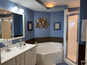 Ensemble douche/baignoire, sèche-cheveux, serviettes fournies, savon