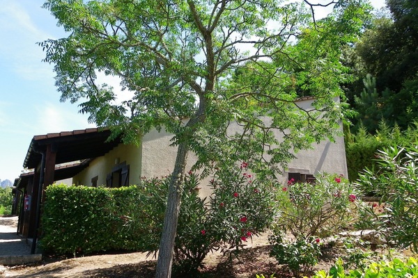 Dans un cadre verdoyant et calme