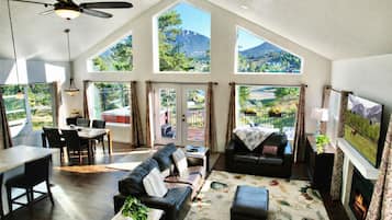 Smart TV, fireplace, books