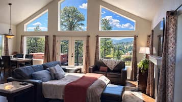 TV connectée, cheminée, livres