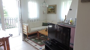 Kamin, DVD-Player, Bücher, Videothek