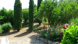 Un jardín con diversas plantas y árboles, un camino de grava y una silla blanca.