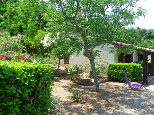 A garden with a white building, a tree, and a purple chair.