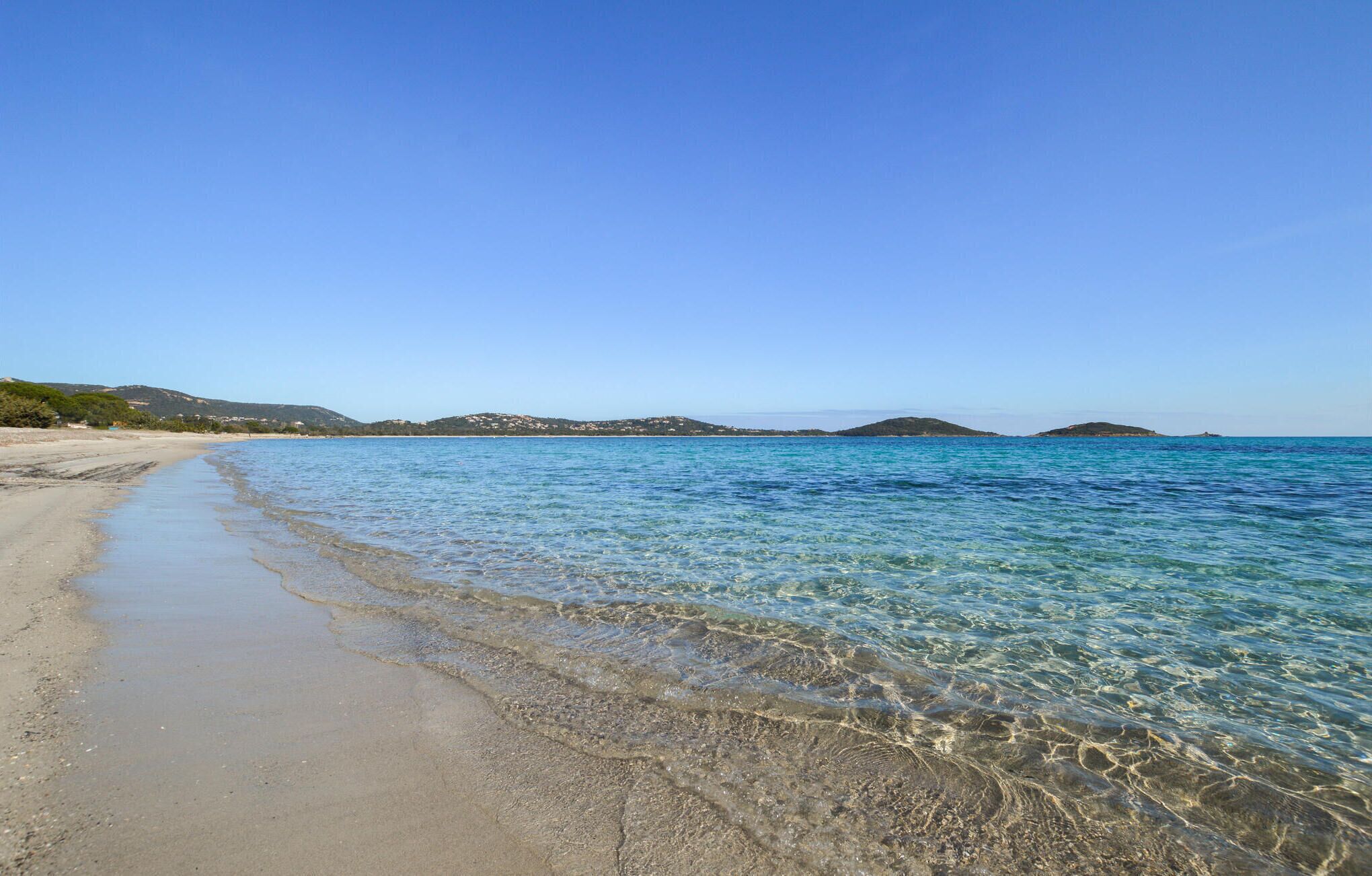 بالقرب من الشاطئ