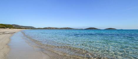 بالقرب من الشاطئ