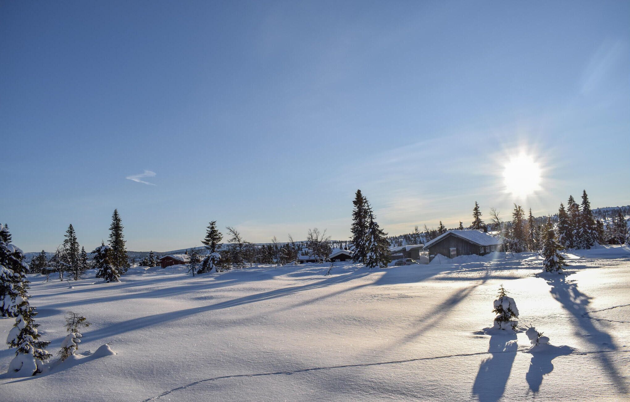 A snow-covered landscape with a wooden cabin and several trees.