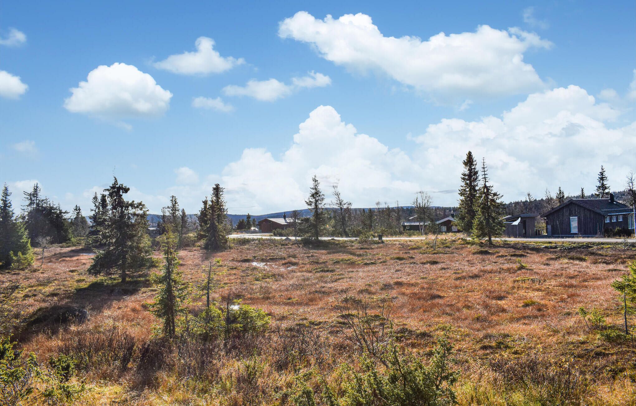 A rural landscape with a clear sky, a few scattered trees, and a distant building.