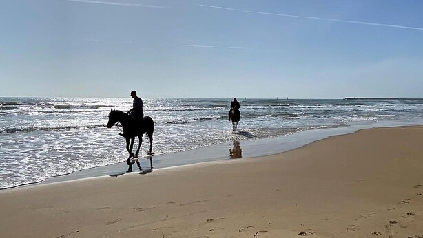 Una spiaggia con un cavallo e un cavaliere vicino alla battigia.