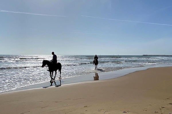 Beach nearby, fishing