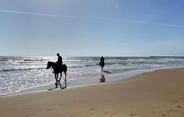Una playa cerca, pesca