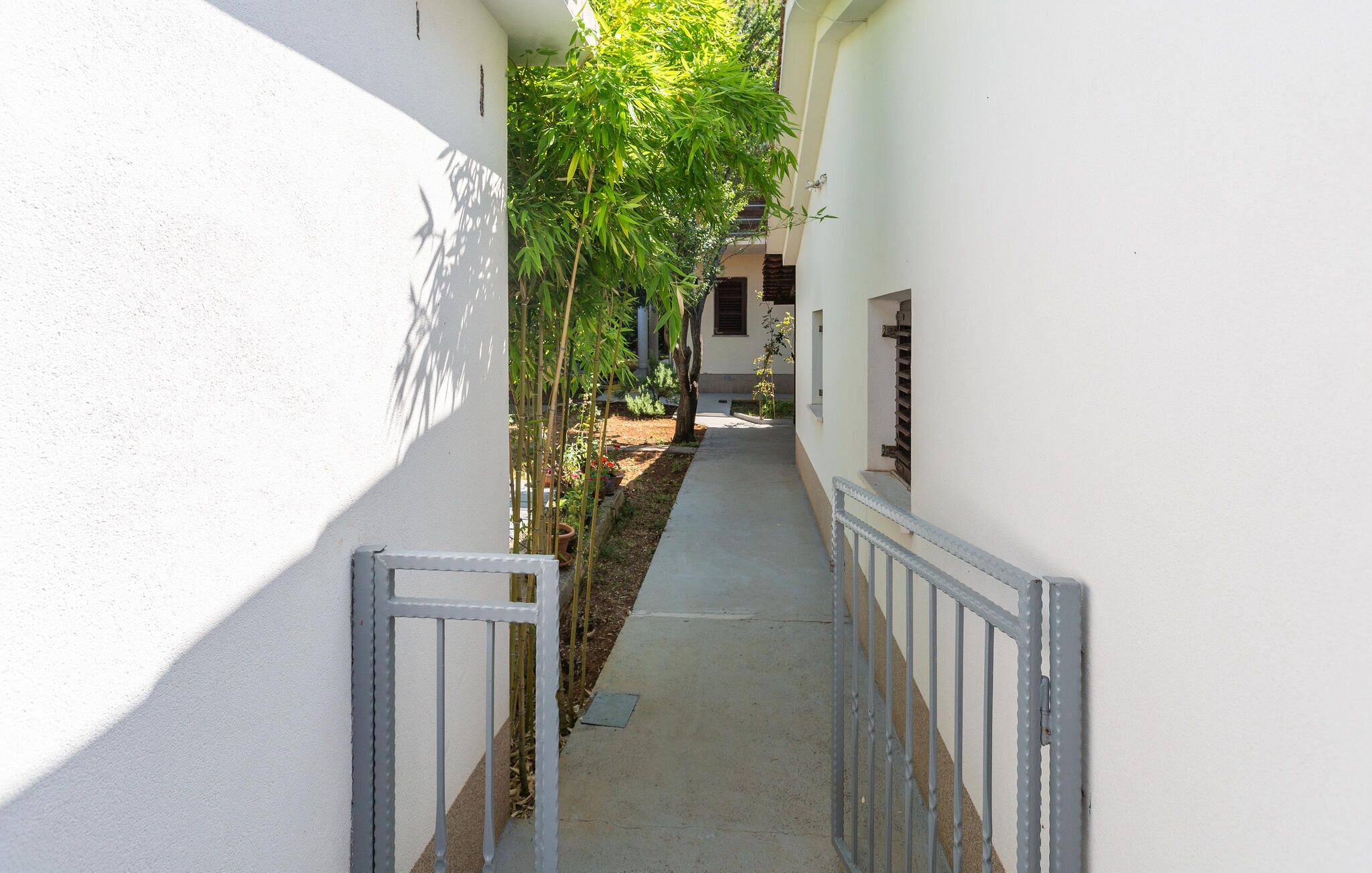 Un couloir étroit et ensoleillé, avec un portail en métal à l’entrée, bordé de murs blancs et de plantes de bambou.