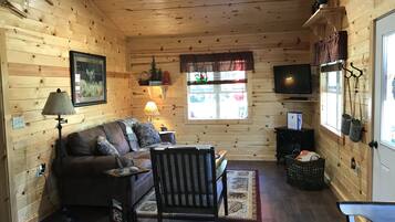 Smart TV, fireplace, DVD player, video library