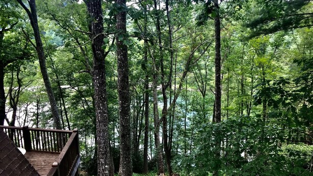 Terraza de madera con vistas a un bosque frondoso y un lago.