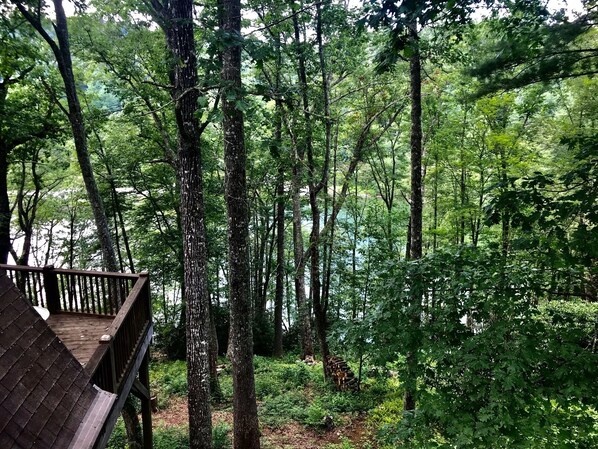 Property grounds - Private Wooded Lakefront Lake Glenville Comfy Cozy Rustic Bungalow w/ Dock (Cullowhee)