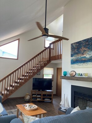 TV connectée, cheminée, lecteur de DVD, livres