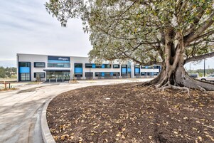 Un edificio moderno con un gran árbol en primer plano.