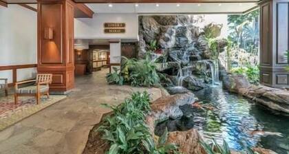 Fully Equipped 23rd Floor Condo at the Waikiki Banyan