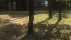 Uma área gramada com árvores e um edifício com grandes janelas.