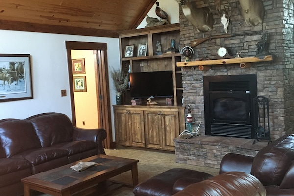 Una televisión, una chimenea