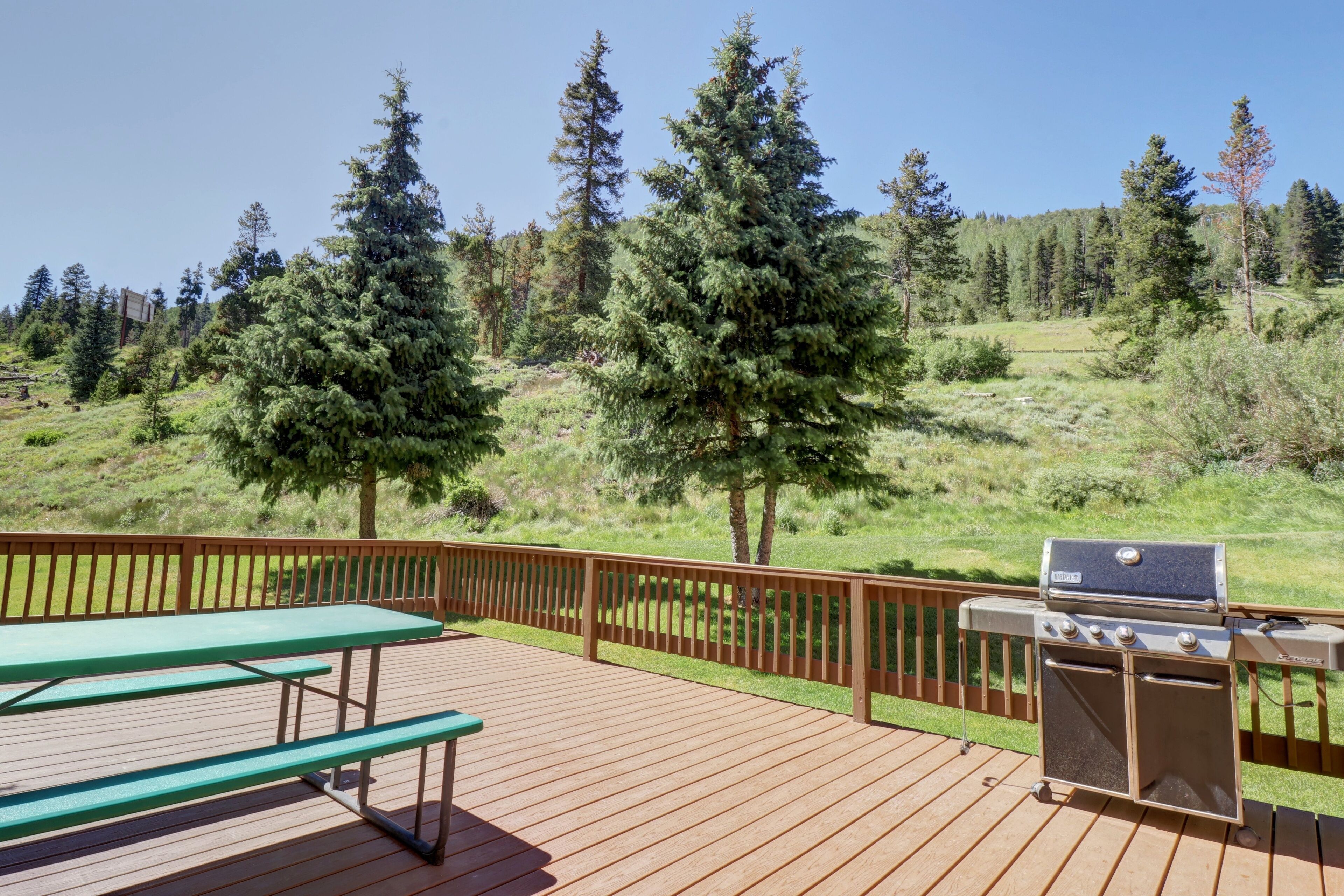 Studio | Grillaus-/piknikalue