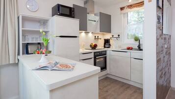Kühlschrank, Mikrowelle, Herdplatte, Geschirrspüler