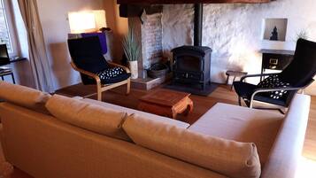 Chimenea, reproductor de DVD, biblioteca de música, videoteca