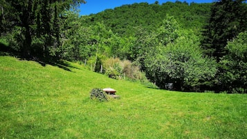 Parco della struttura