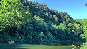 A river surrounded by dense forest with a dog near the water's edge. - Large Bell Tent on the Kings River! (Eureka Springs)
