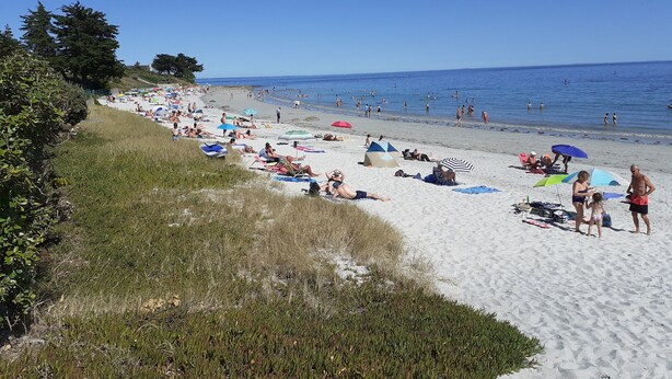 A beach with people sunbathing and swimming, and a grassy area on the left.