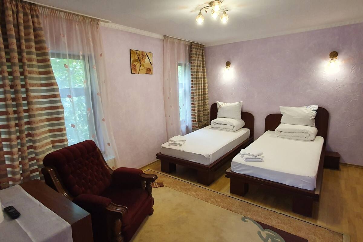 Basic Twin Room