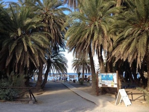 Playa