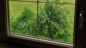 Une grande fenêtre donnant sur un champ verdoyant et des arbres.