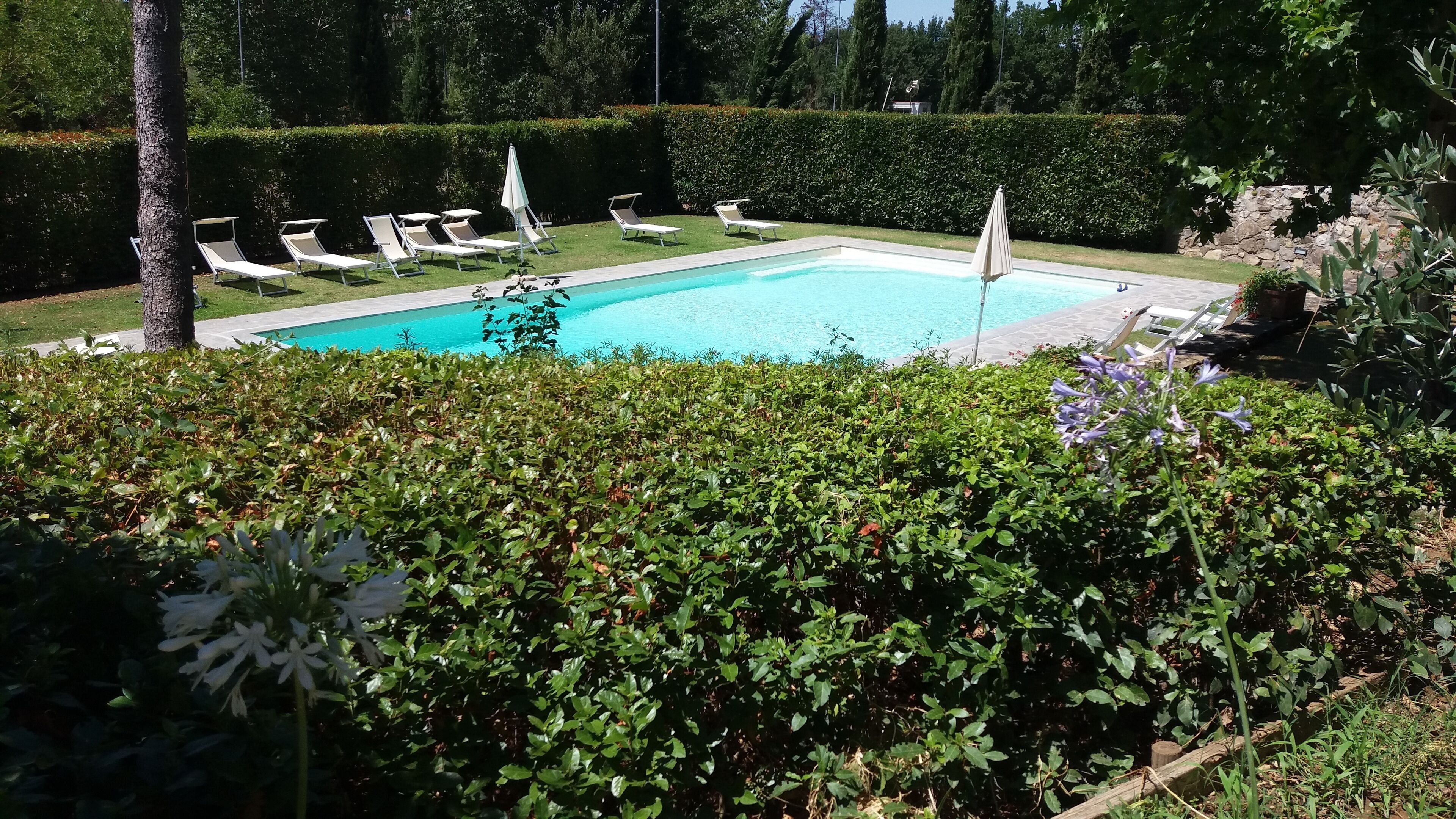 Ein Schwimmbecken, umgeben von ordentlich geschnittenen Hecken und mehreren Liegestühlen.