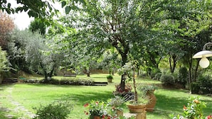 Ein Garten mit einem gepflasterten Weg, Bänken und Kübelpflanzen.