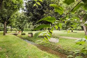 Vườn